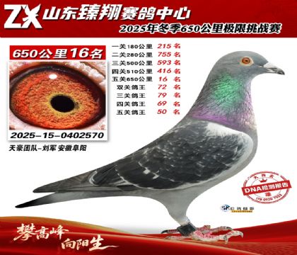 ɽ������650����16��