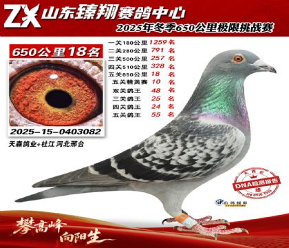 ɽ������650����18��