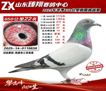 ɽ������650����22��