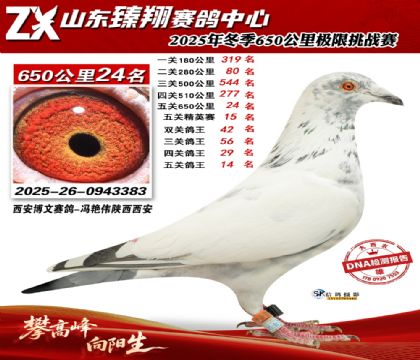 ɽ������650����24��