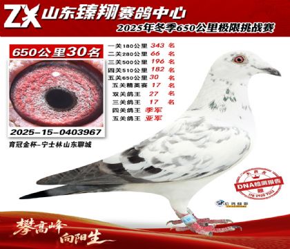 ɽ������650����30��