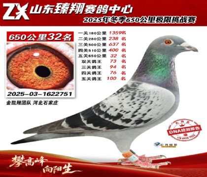 ɽ������650����32��