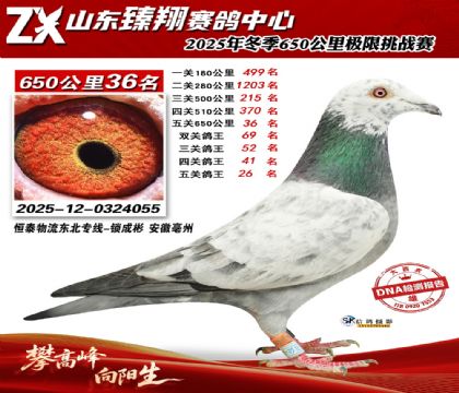 ɽ������650����36��