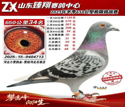 ɽ������650����34��