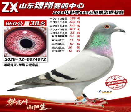 ɽ������650����38��