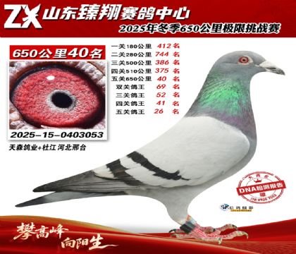 ɽ������650����40��