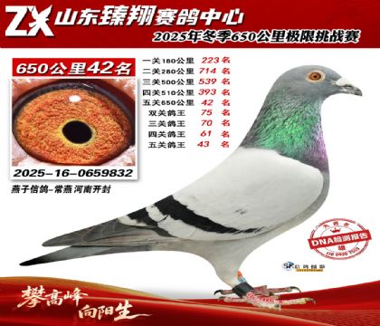 ɽ������650����42��