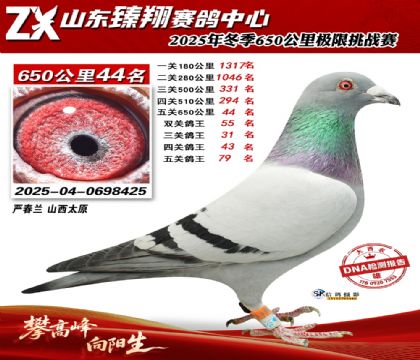 ɽ������650����44��