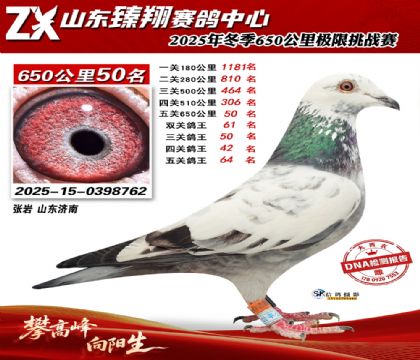 ɽ������650����50��