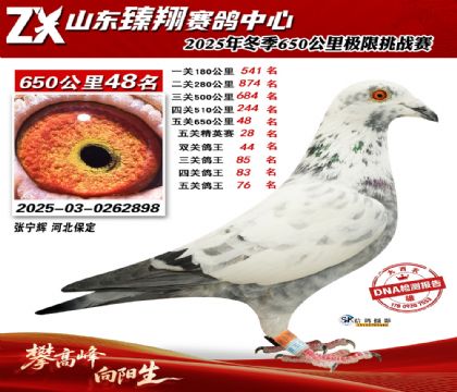 ɽ������650����48��