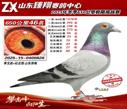 ɽ������650����46��