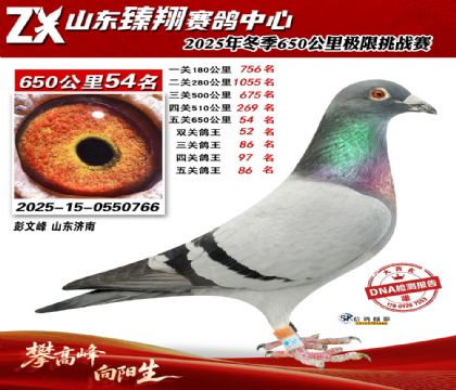 ɽ������650����54��