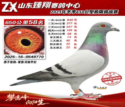 ɽ������650����58��