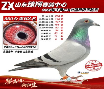 ɽ������650����62��