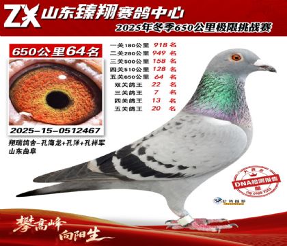 ɽ������650����64��