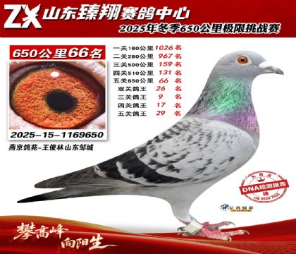 ɽ������650����66��