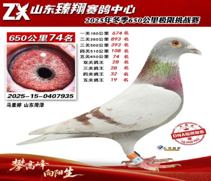 ɽ������650����74��