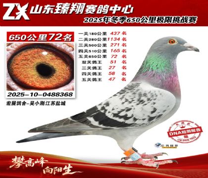 ɽ������650����72��