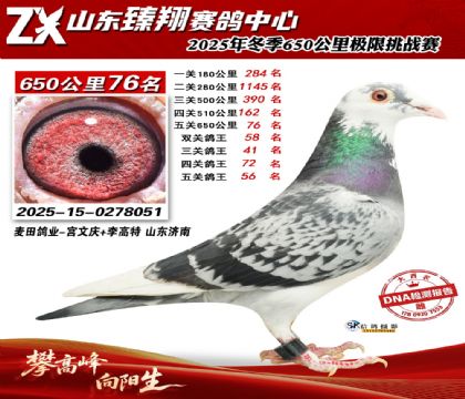 ɽ������650����76��