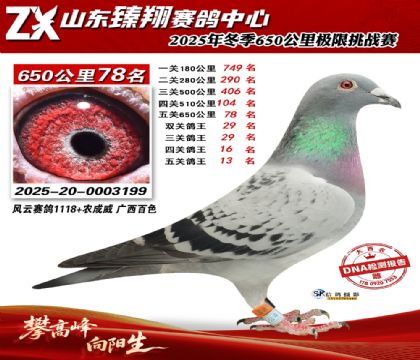 ɽ������650����78��