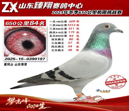 ɽ������650����84��