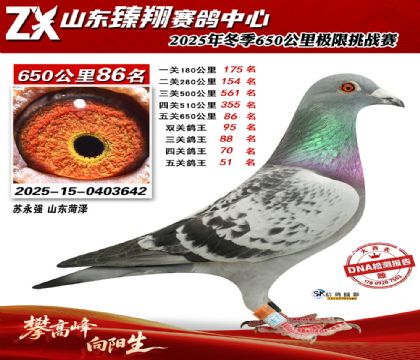 ɽ������650����86��