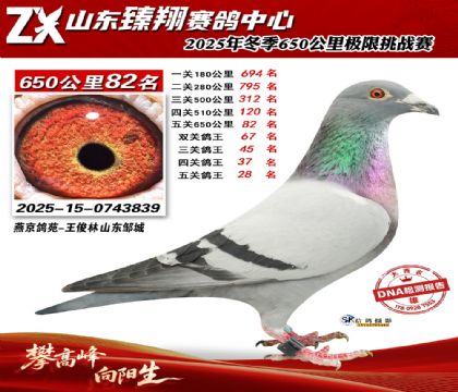 ɽ������650����82��