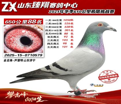 ɽ������650����88��