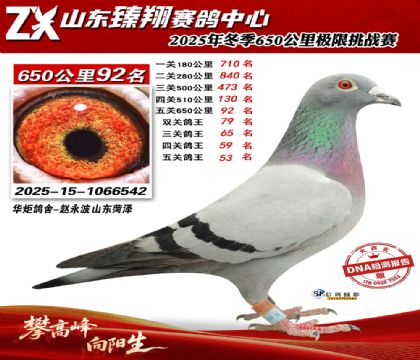 ɽ������650����92��