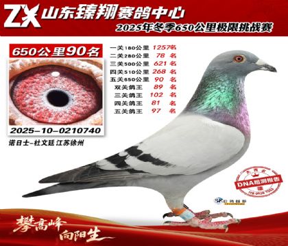 ɽ������650����90��