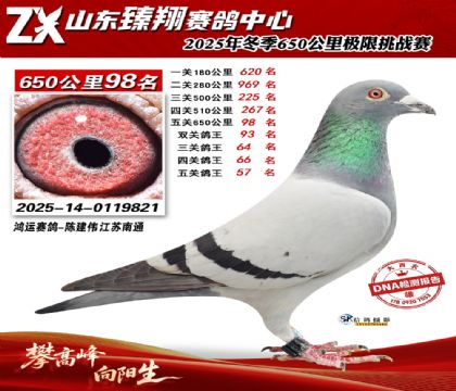 ɽ������650����98��