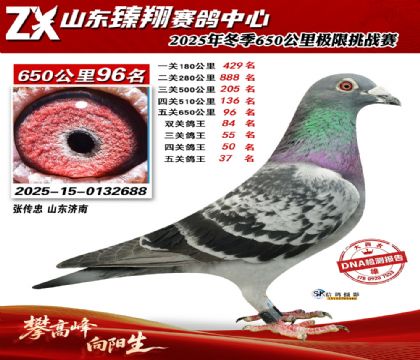 ɽ������650����96��