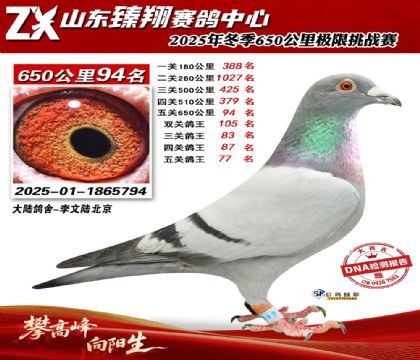 ɽ������650����94��