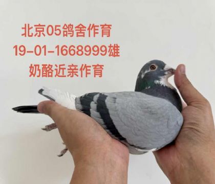 ����05����-1668999