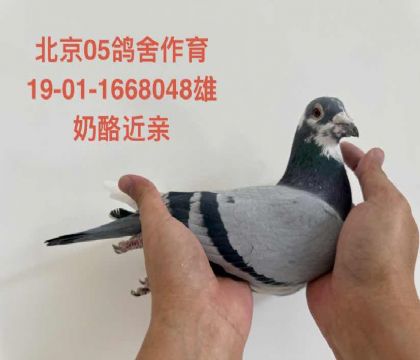 ����05����-1668048