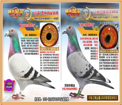 ��������蹫��ھ�ֱŮ.ƽ����500����ھ�.�����ھ�