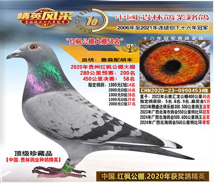 ĸ����㹫��58��