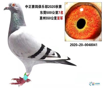 �����550�����Ǿ�