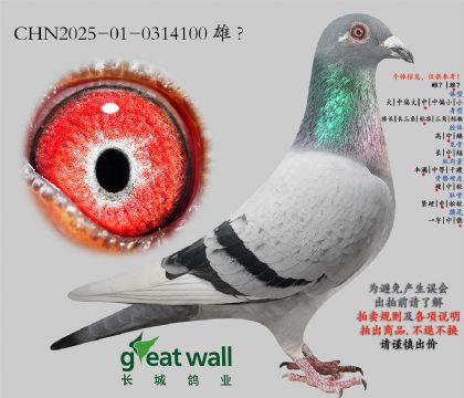 2.����������.0314100