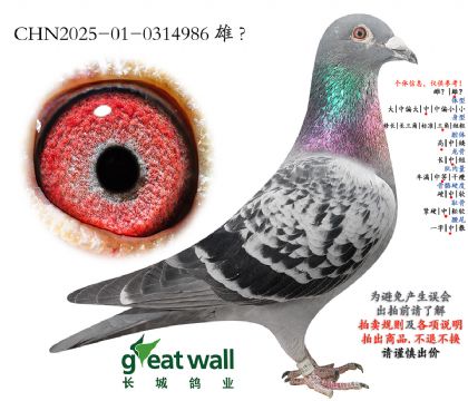 1.����x������xŭ��.0314986