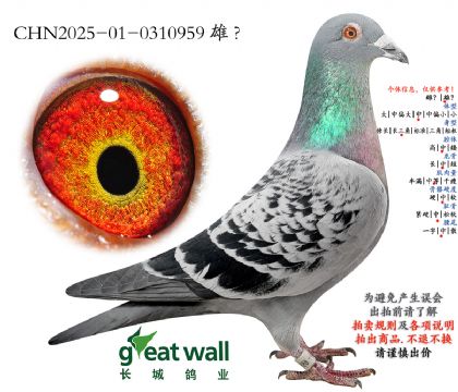 5.���Һ����.0310959