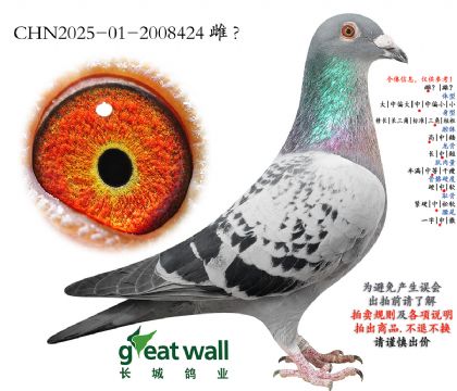 3.����xͼ��˹x������.2008424