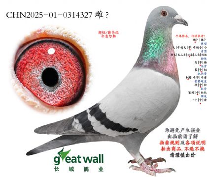 8.ղ��˹x�Ҿ���.0314327