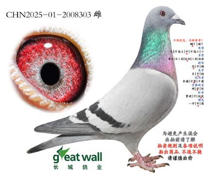 7.��ѩ���ض�x�¿�����.2008303