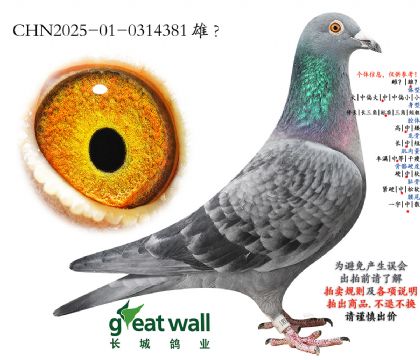 6.�緫����111�Ӵ�.0314381