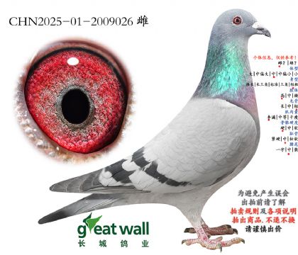 11.���ض�x�������.2009026