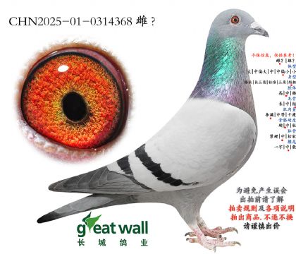 9.����x�Ǳ�.0314368