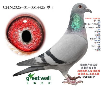 12.��������Ǿ���ƽ��.0314425