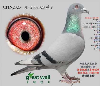 14.������900���.2009028