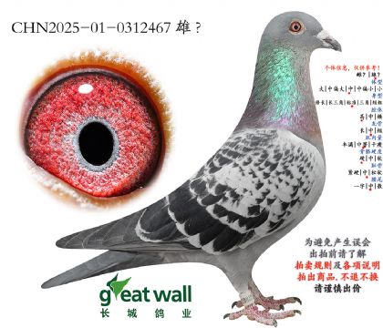 15.�°���ƥ��ƽ���Ӵ�.0312467